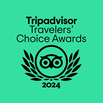 tripadvisor-travelers-choice-award-logo